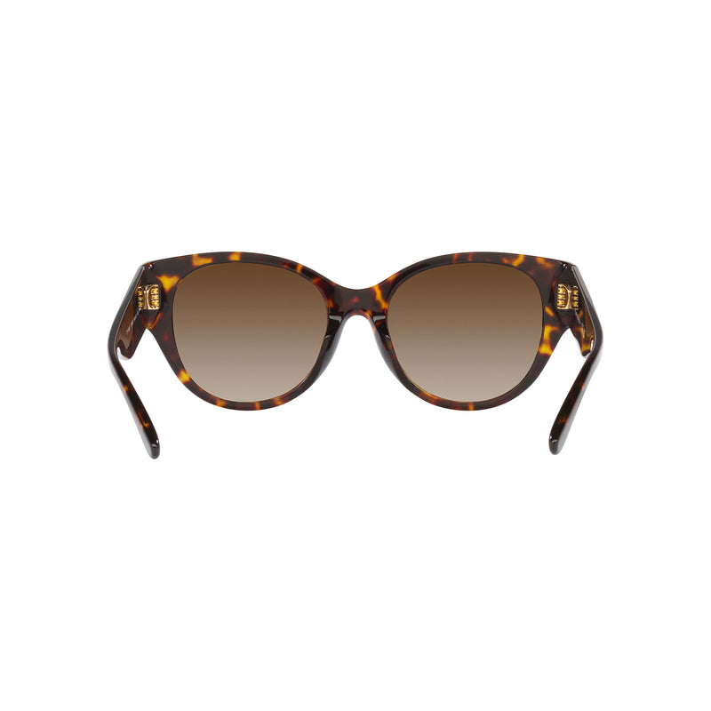 Tory Burch Women's Cat Eye Frame Brown Acetate Sunglasses - TY7182U