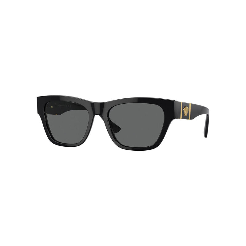 Versace Men's Square Frame Black Acetate Sunglasses - VE4457F