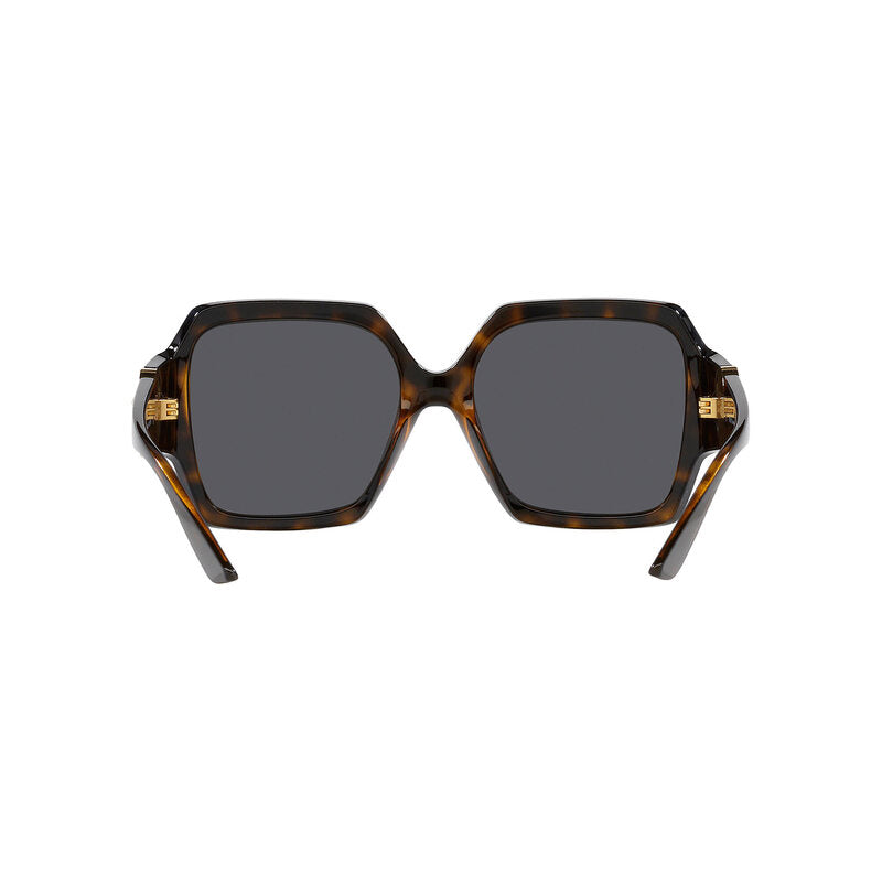 Versace Women's Square Frame Brown Injected Sunglasses - VE4453